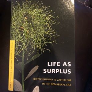 Life aa Surplus